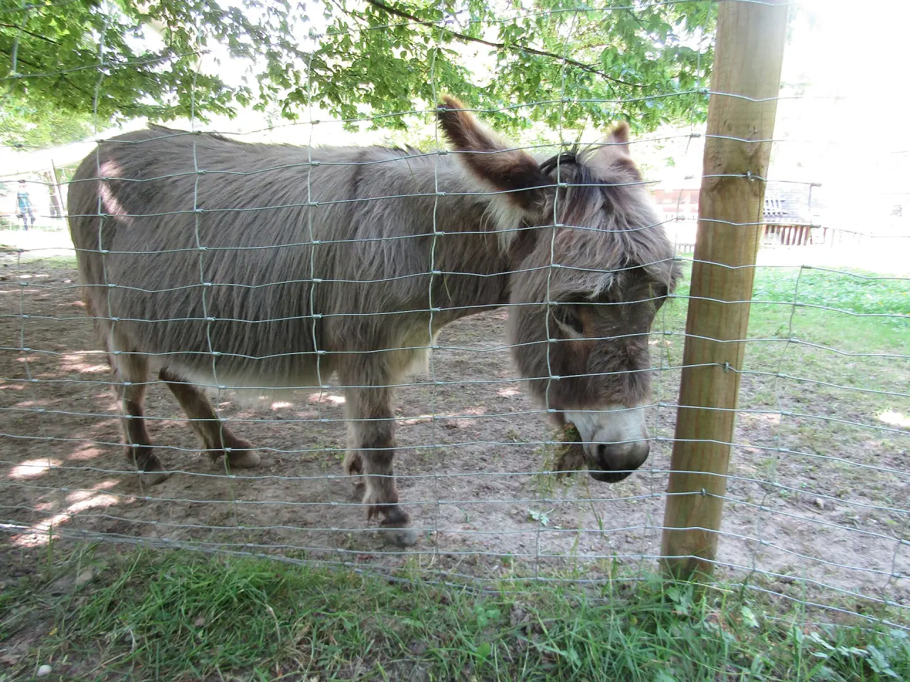 Wild- und Freizeitpark Allensbach
