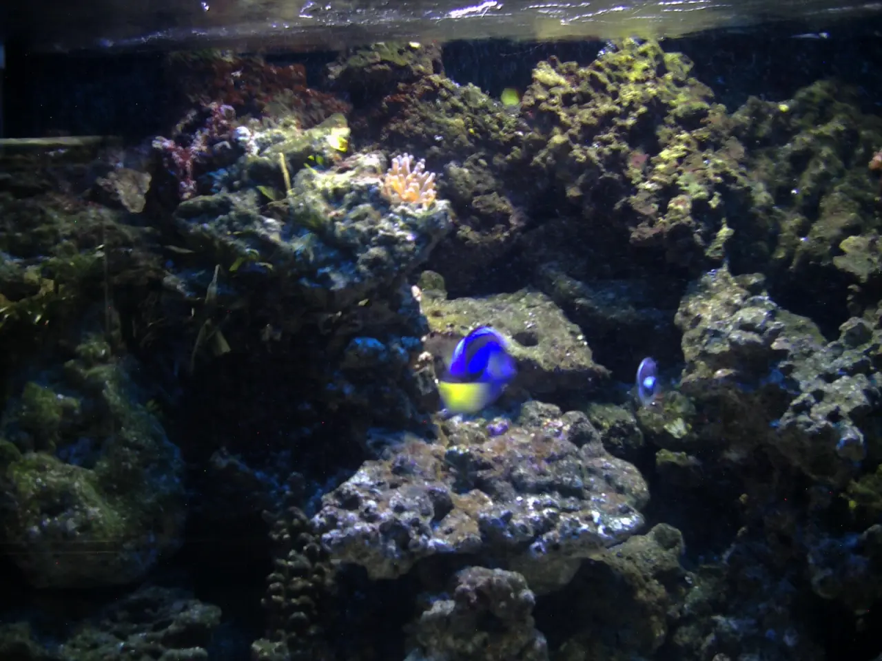 Mundenhof Tier-Natur-Erlebnispark