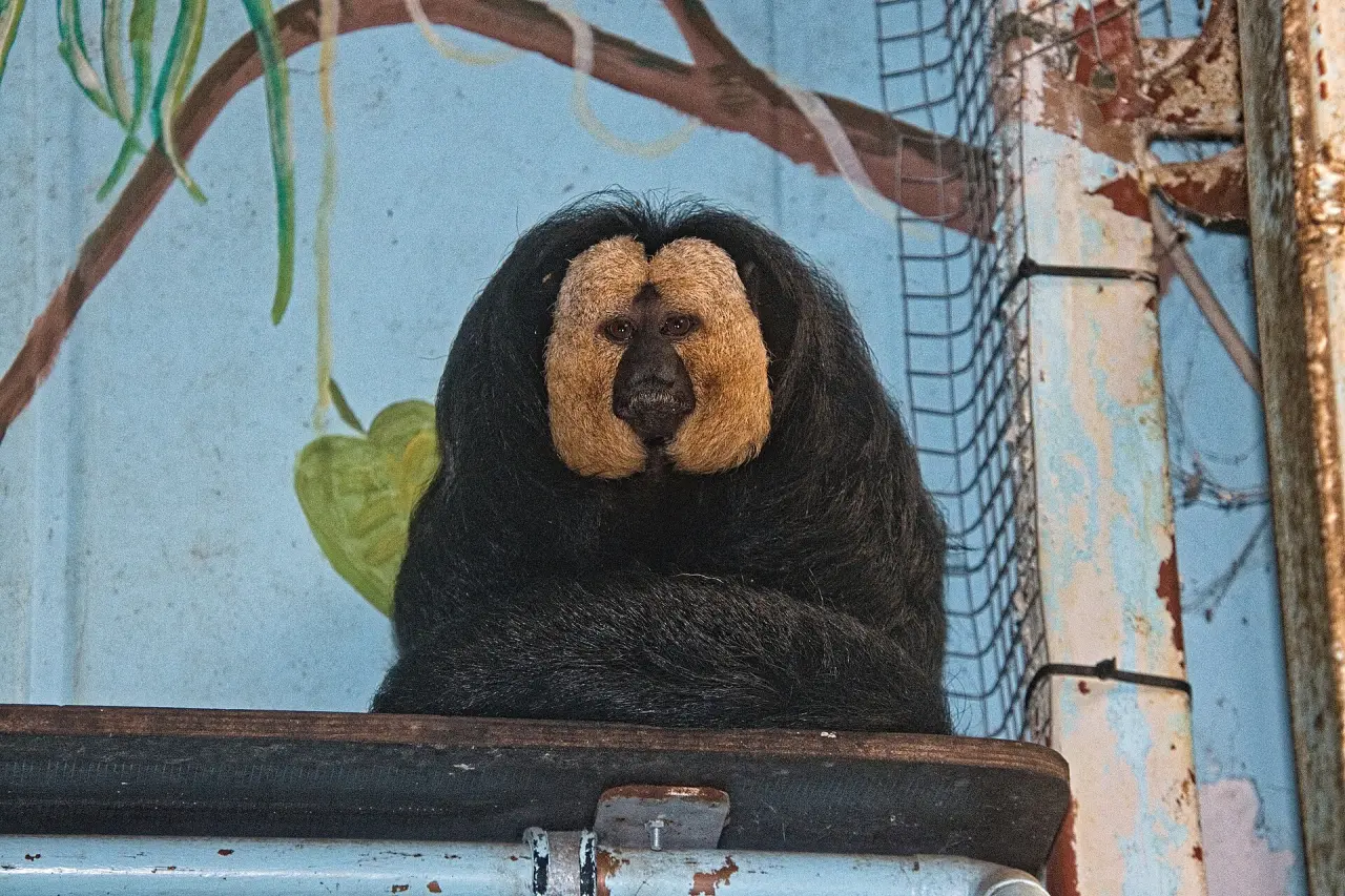 Tierpark Gettorf