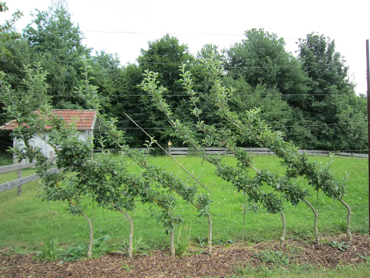 Schwäbisches Freilichtmuseum Illerbeuren