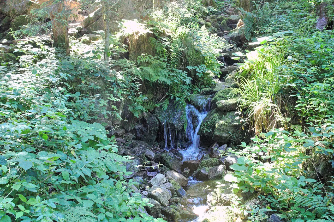 Burgbachwasserfall