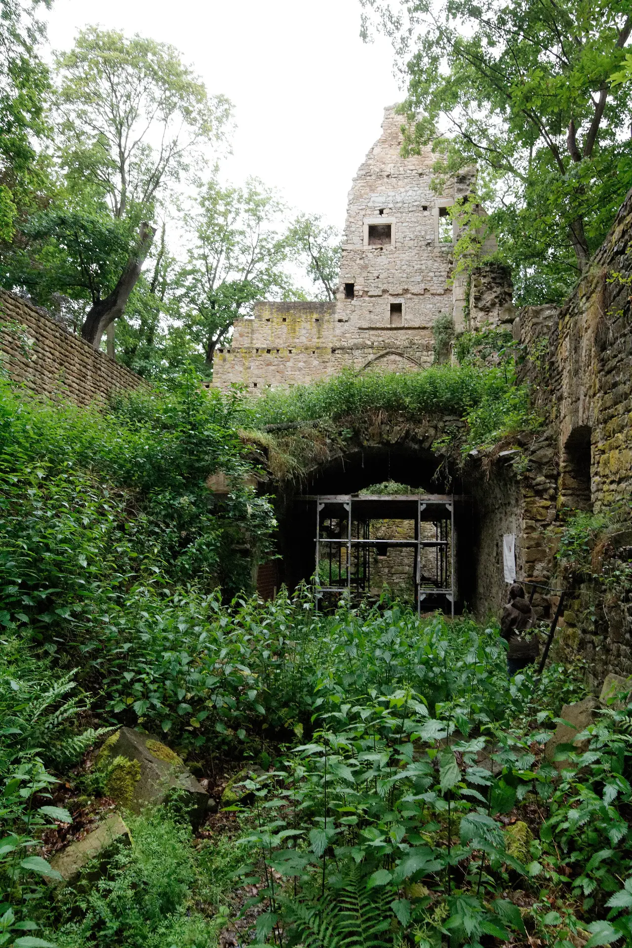 Klosterruine Disibodenberg