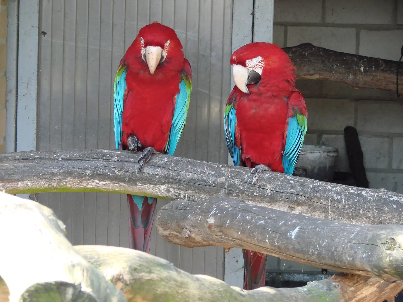 Tier- und Freizeitpark Thüle