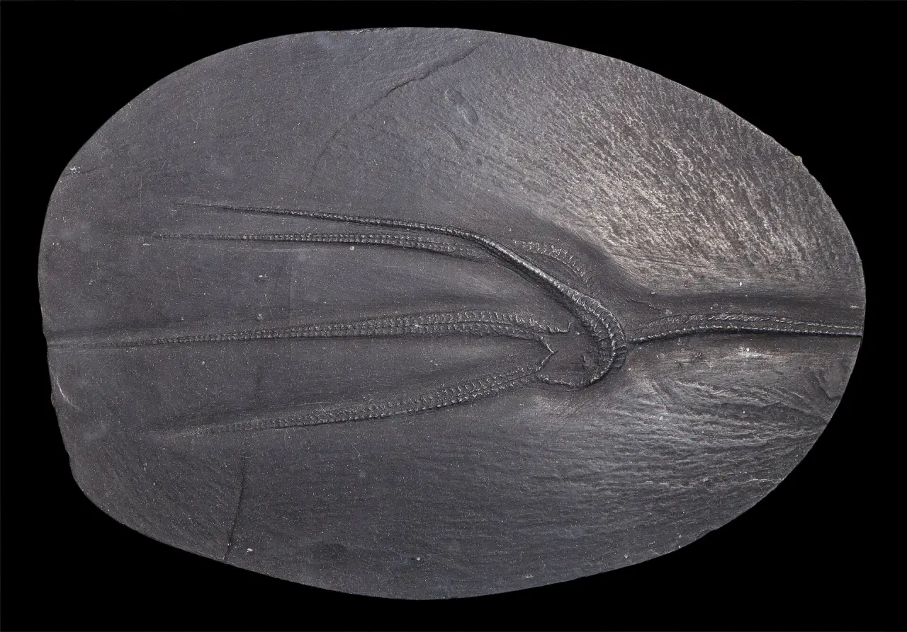 Zoo am Meer Bremerhaven