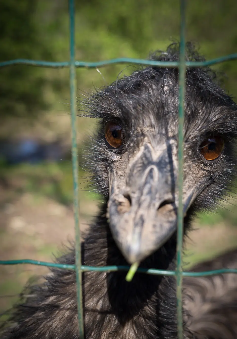 Naturwildpark Freisen
