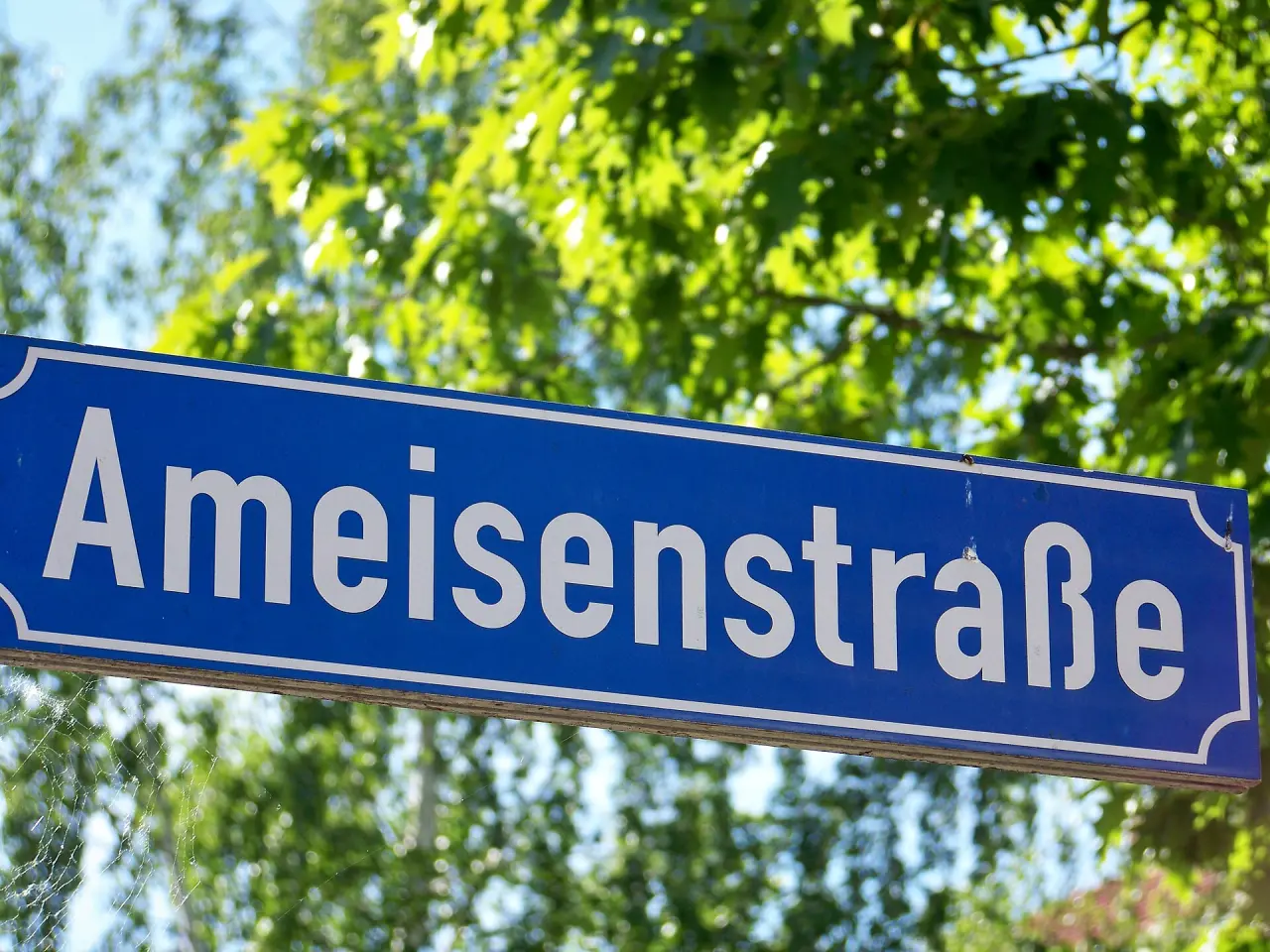 Ameisenstraße