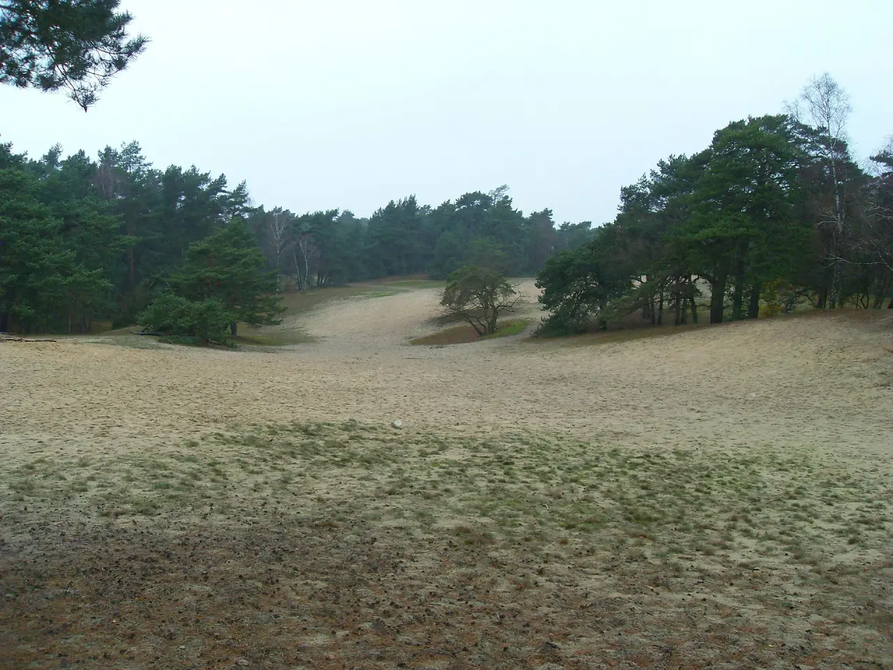 Dünengebiet bei Neumühlen