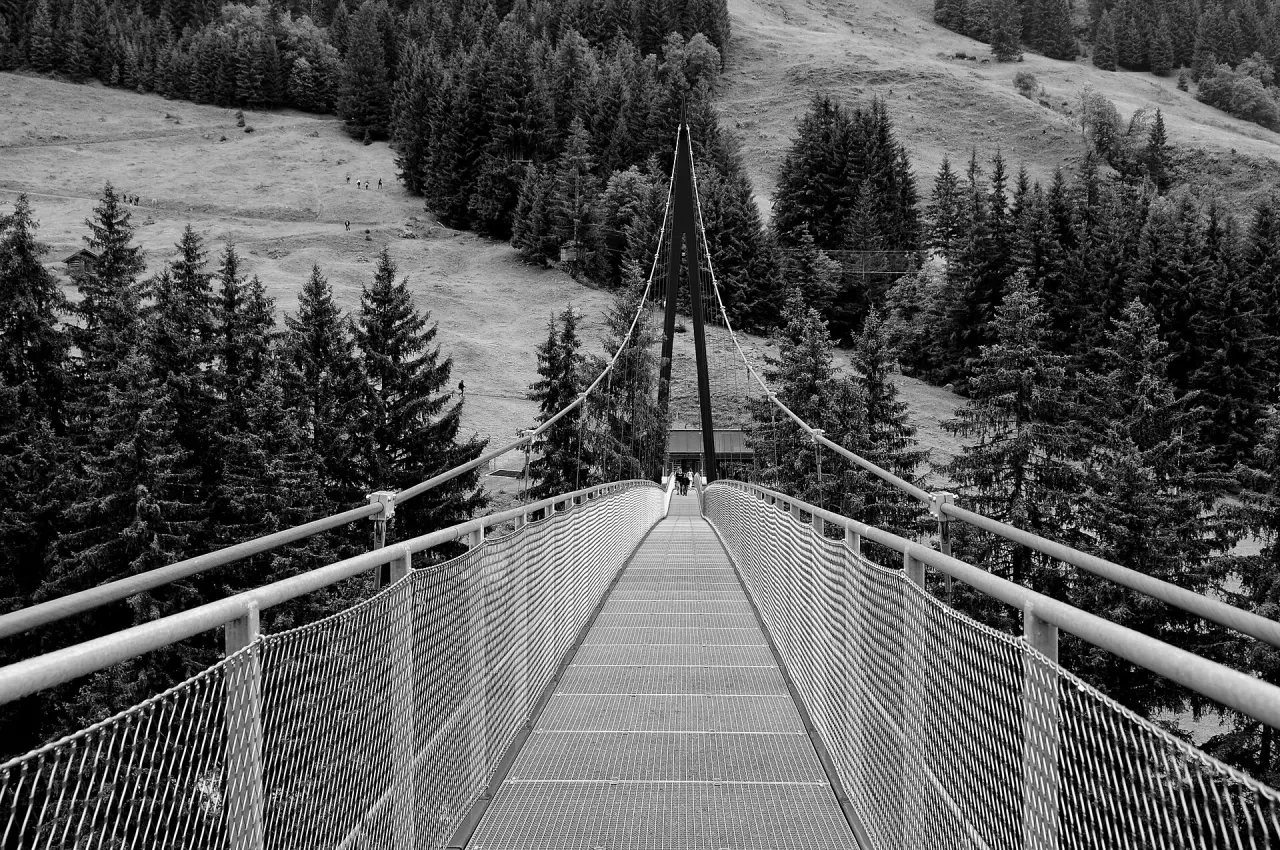 Glemmtaler Baumzipfelweg