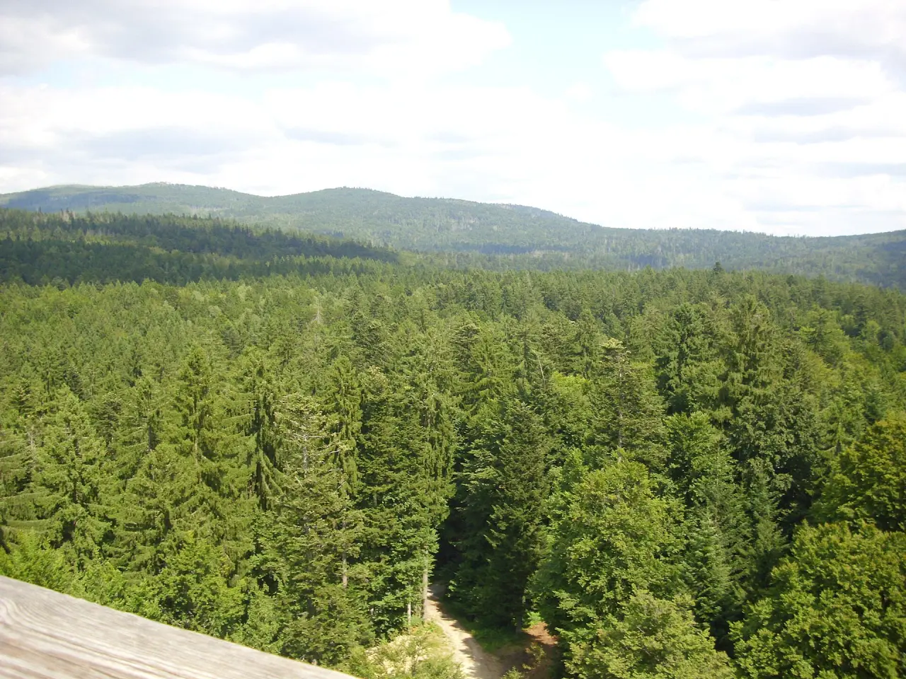 Baumwipfelpfad Bayerischer Wald