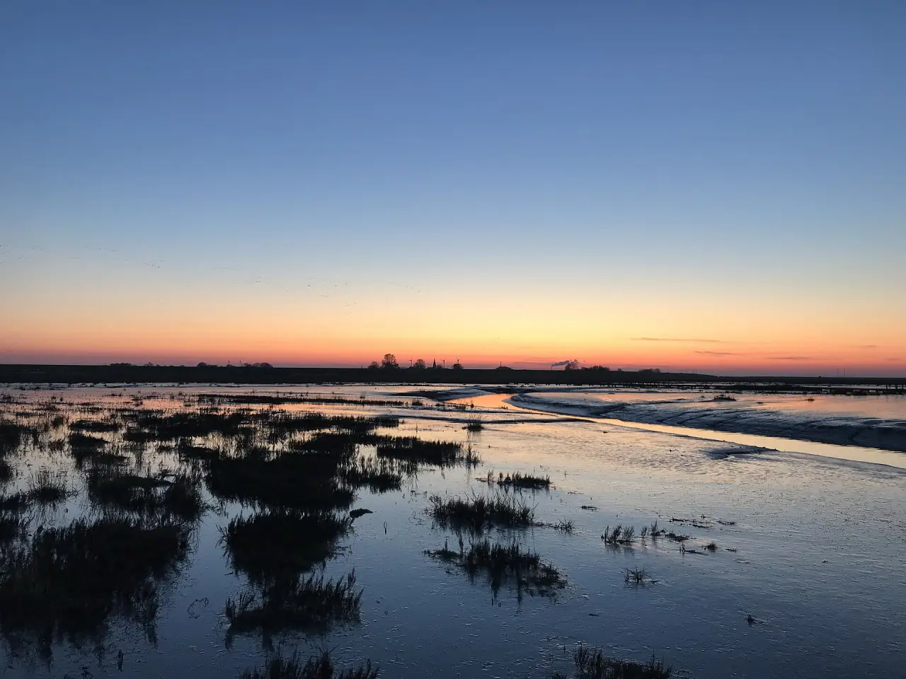 Naturerlebnispfad Langwarder Groden