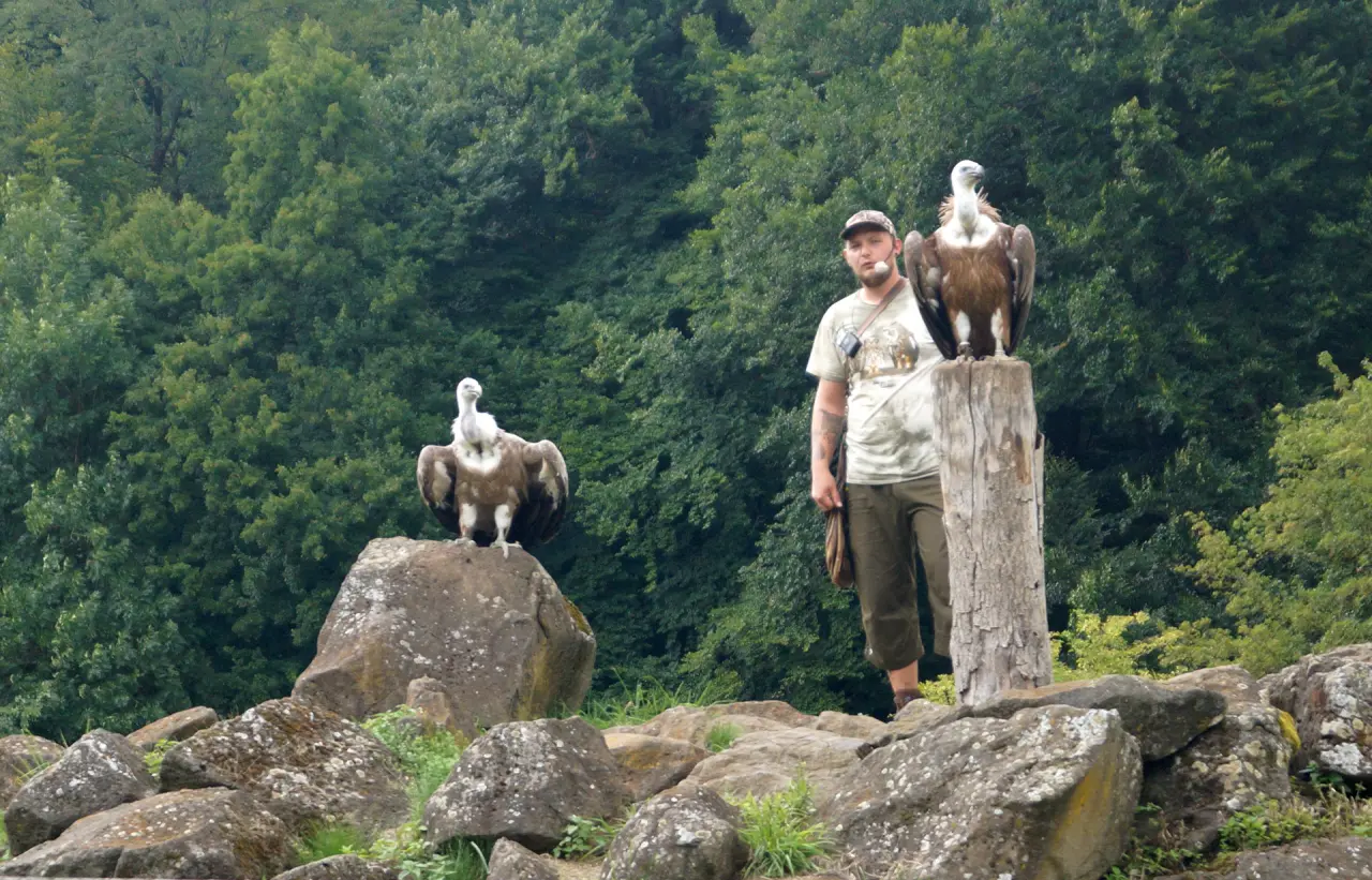 Adler- und Wolfspark Kasselburg