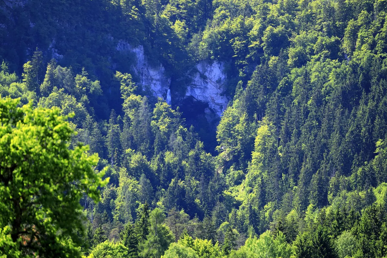 Wildensteiner Wasserfall
