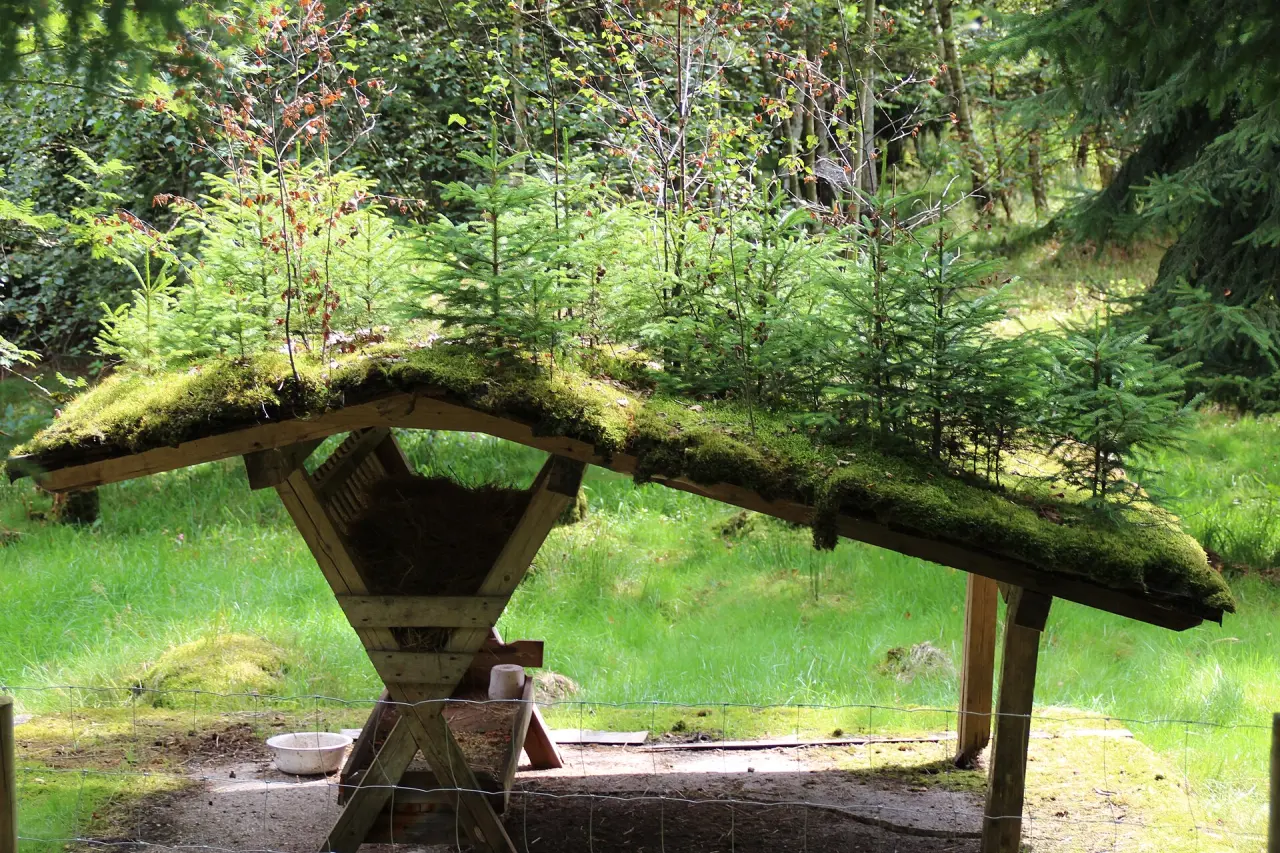 Bayerwald-Tierpark Lohberg