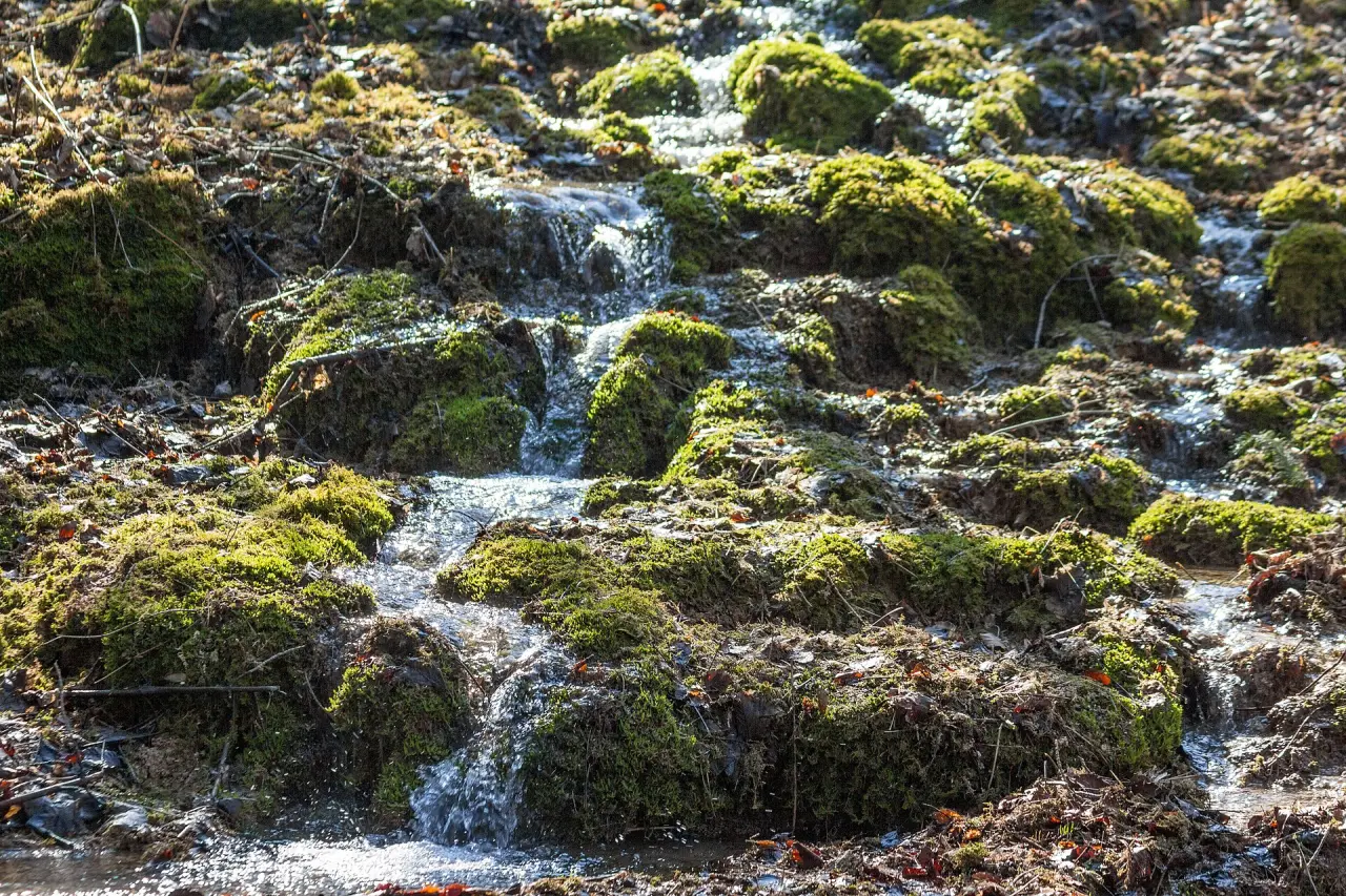 Steinerne Rinne Rohrbach