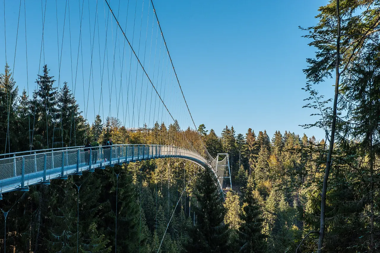 WILDLINE Hängebrücke