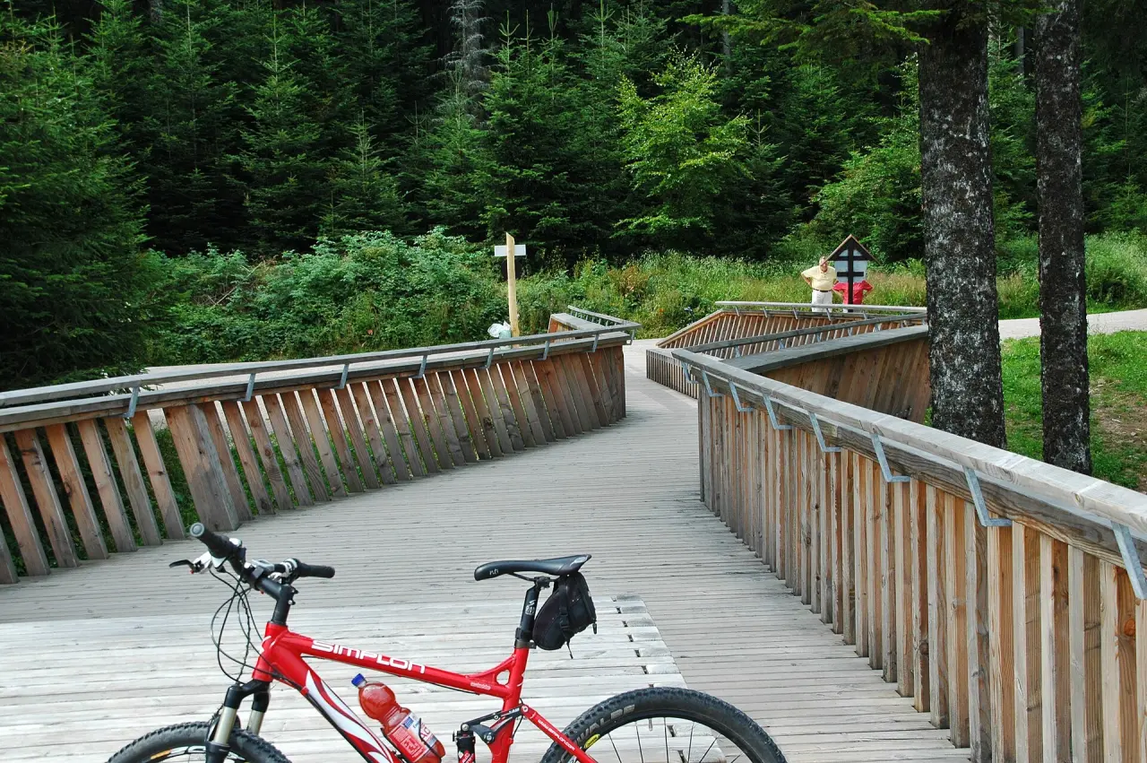 Aussichtsplattform Ellbachseeblick