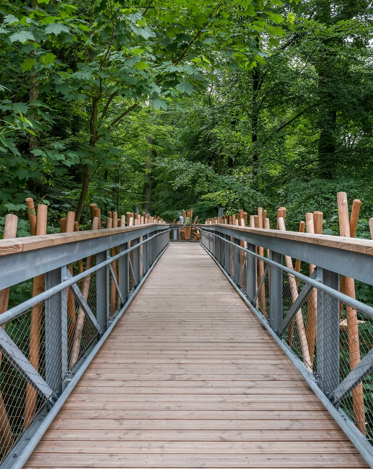 Baumwipfelpfad Bad Iburg