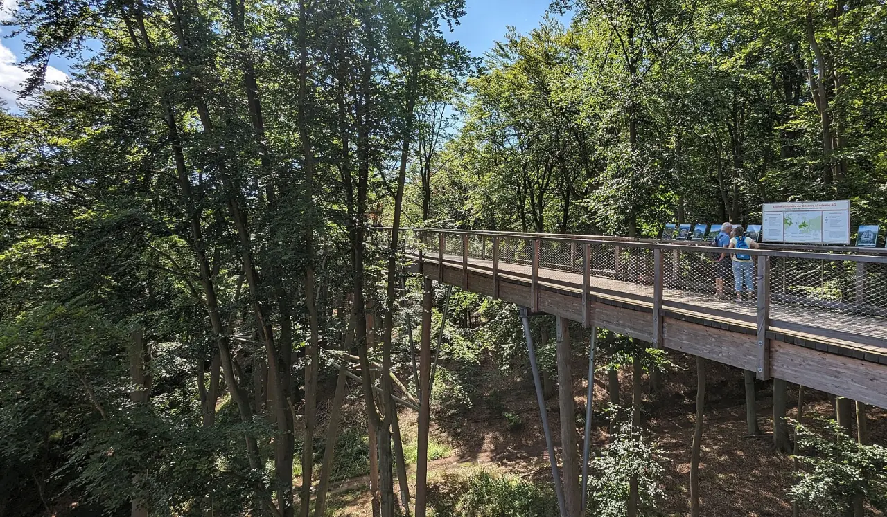 Baumwipfelpfad Usedom