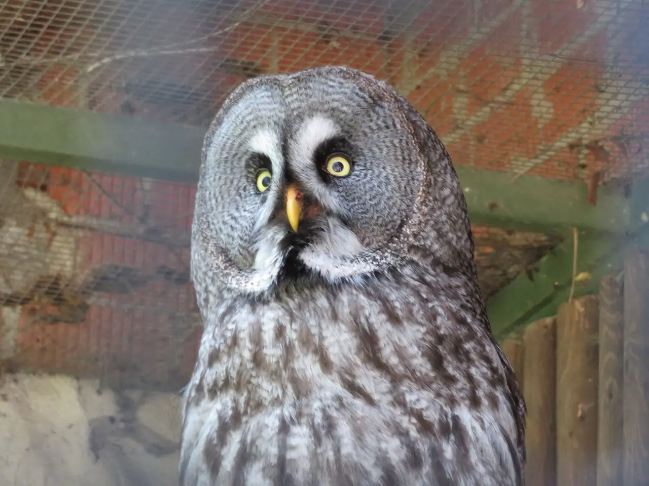 Schwarzwaldzoo Waldkirch