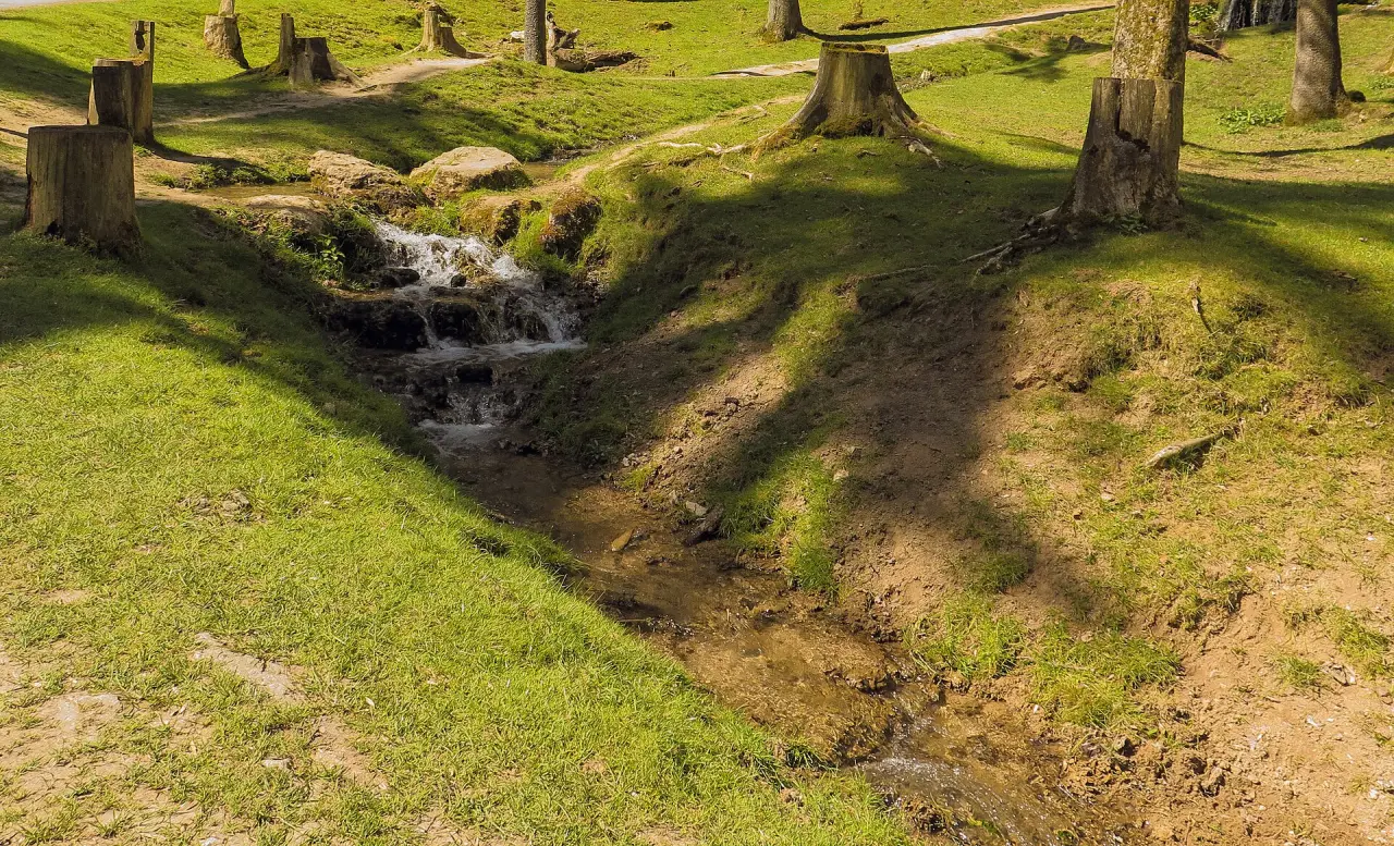 Wildpark Hundshaupten