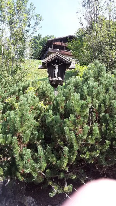 Wiedersbergerhornbahn Alpbach