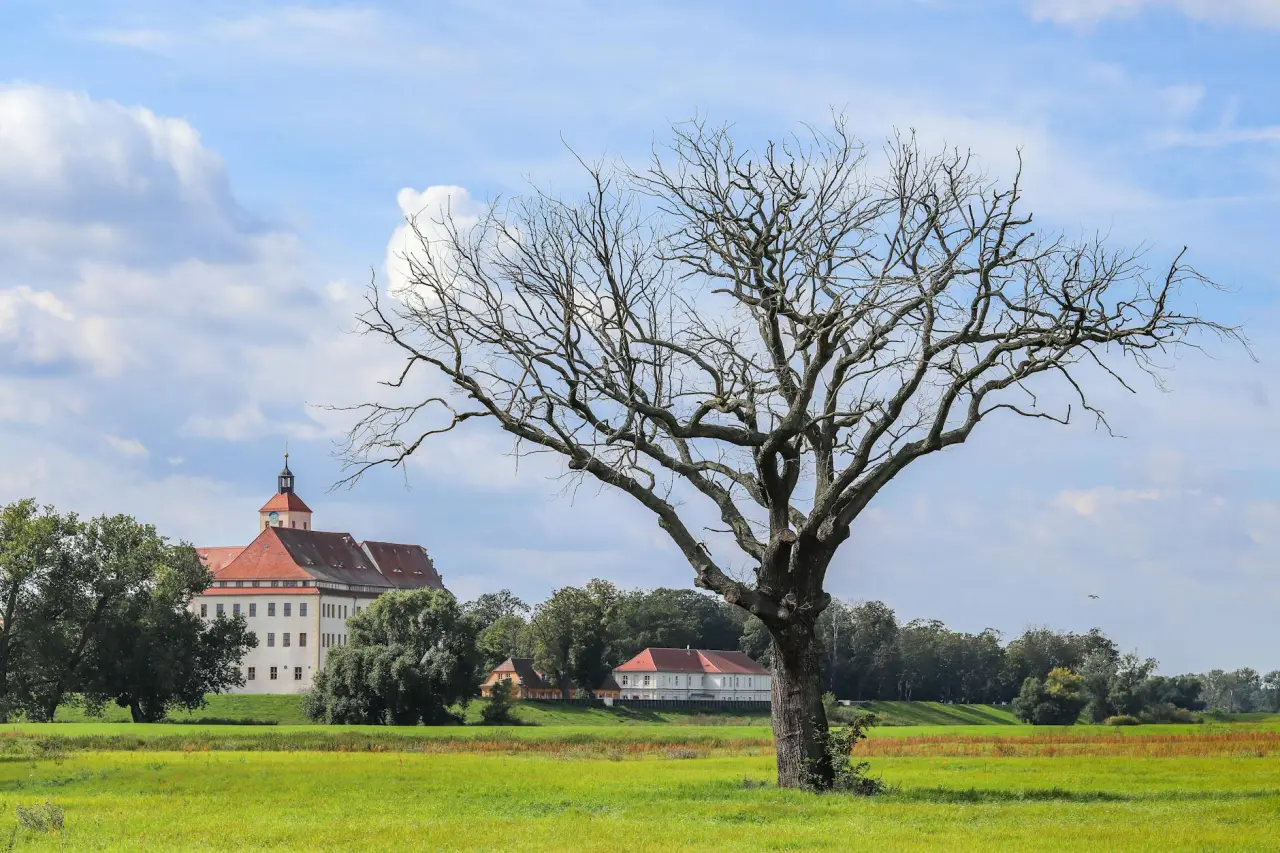 Ilsenburg