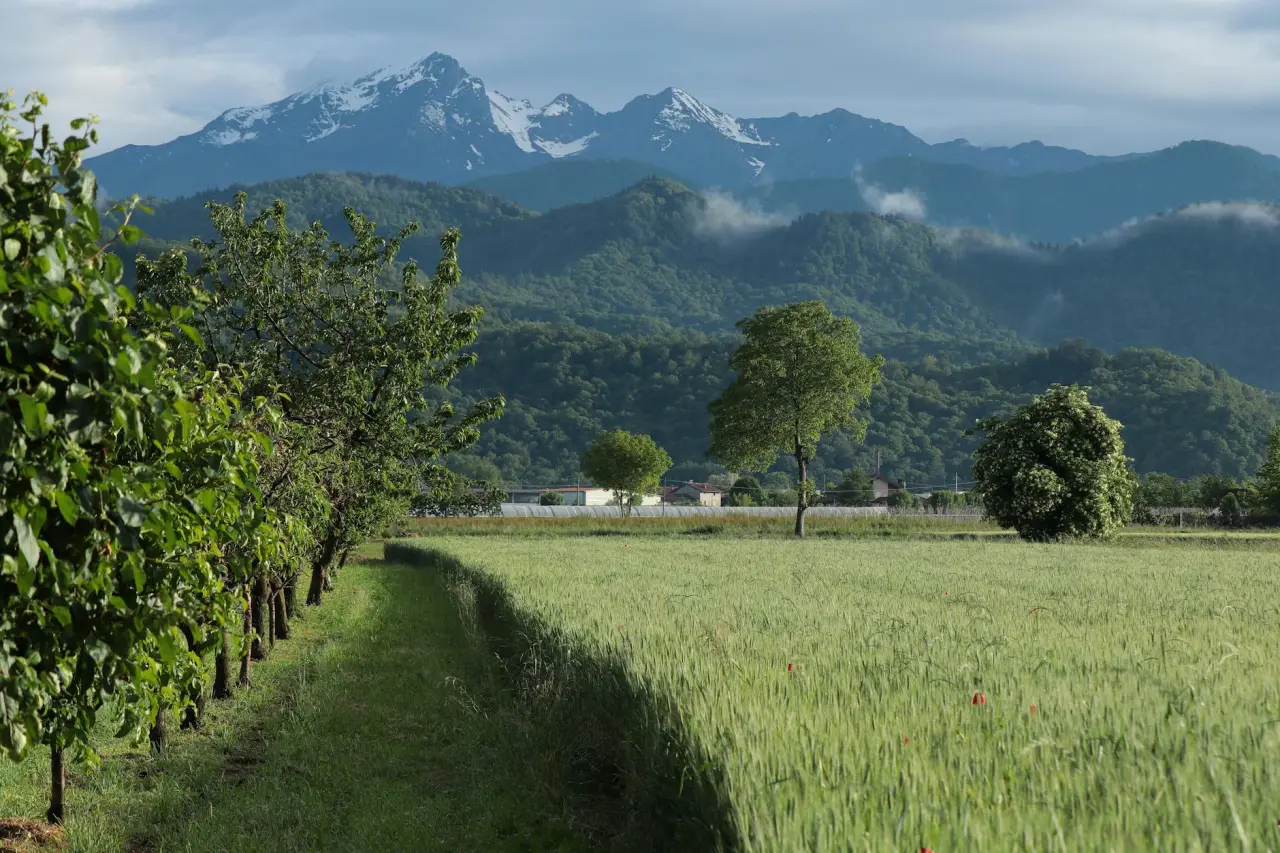 Wellnesshotels in Valdisotto