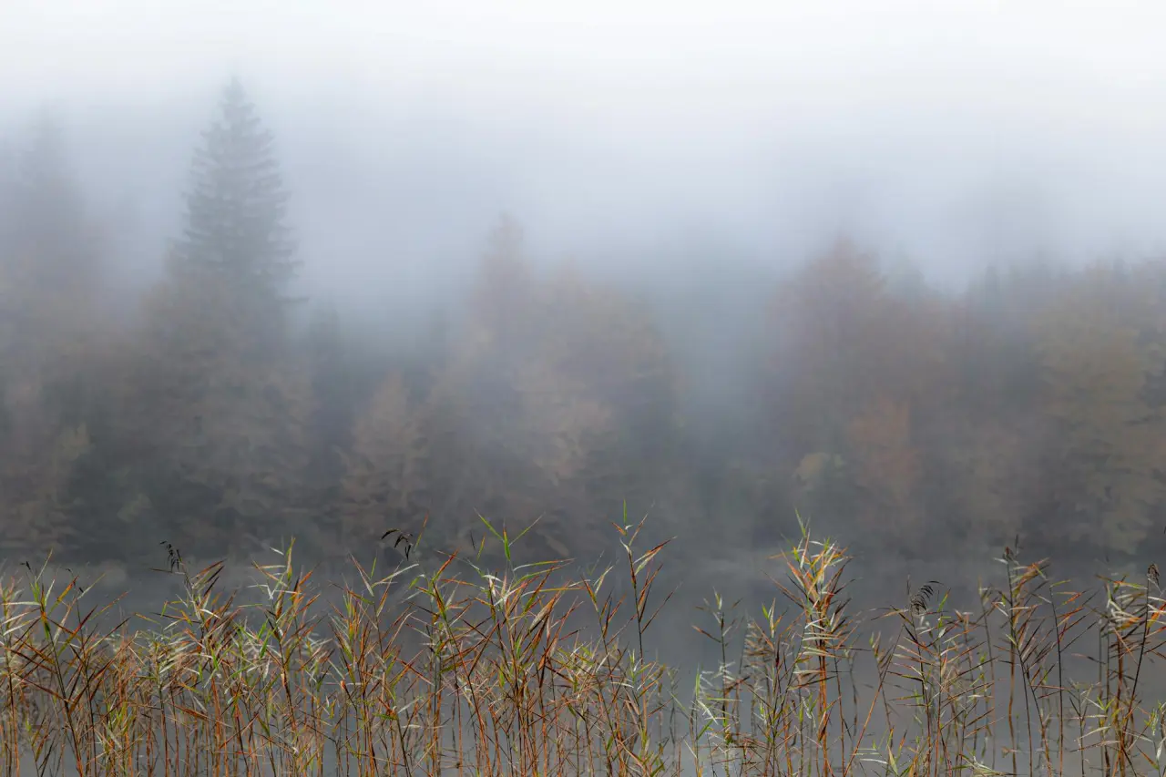 Wellnesshotels in Windischgarsten