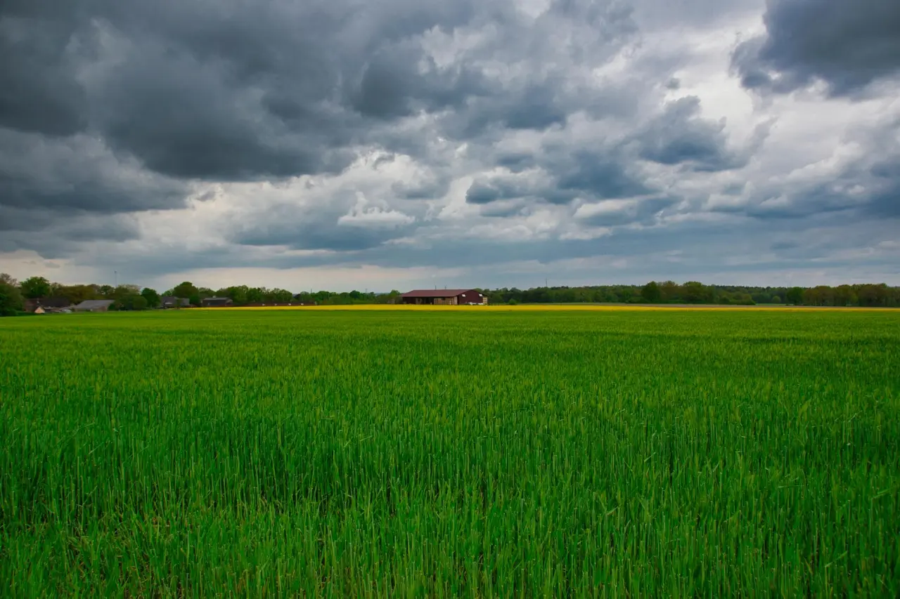 Wellnessregion Fischland