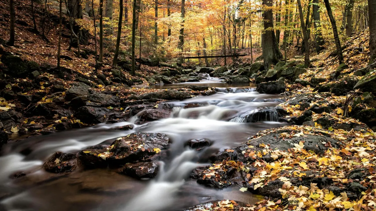 Wellnessregion Harz Sachsen-Anhalt