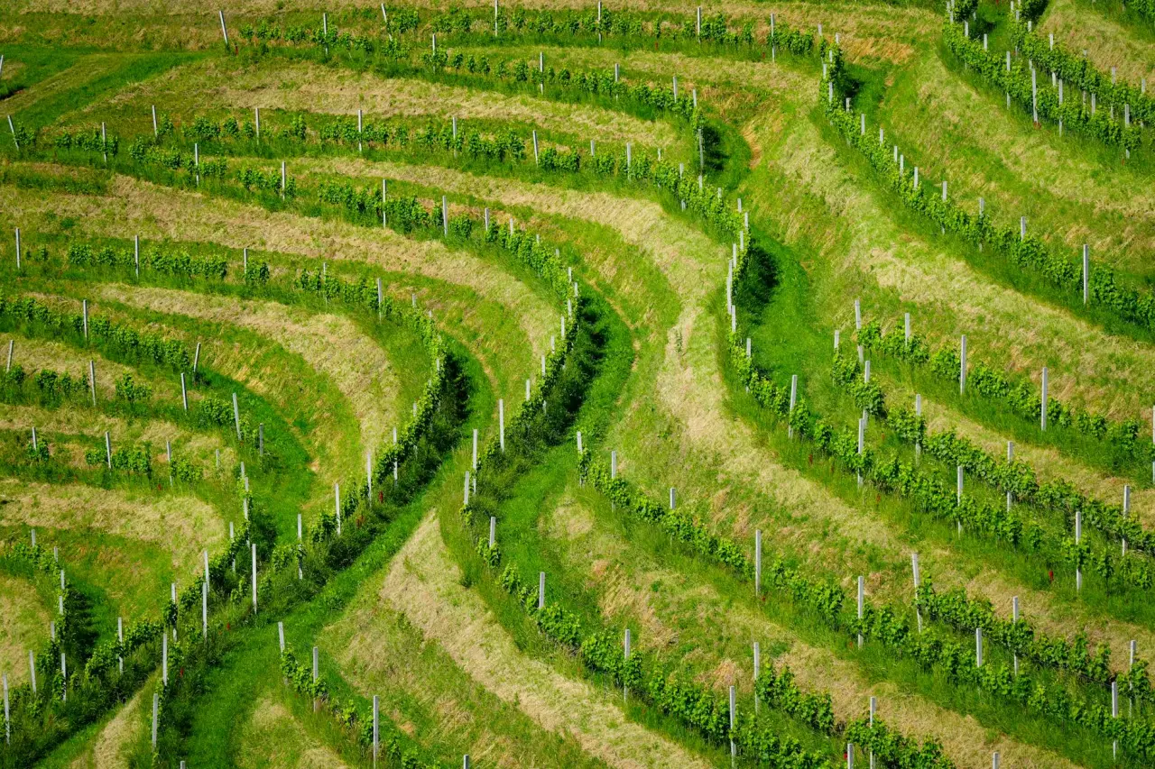 Wellnessregion Meraner Land