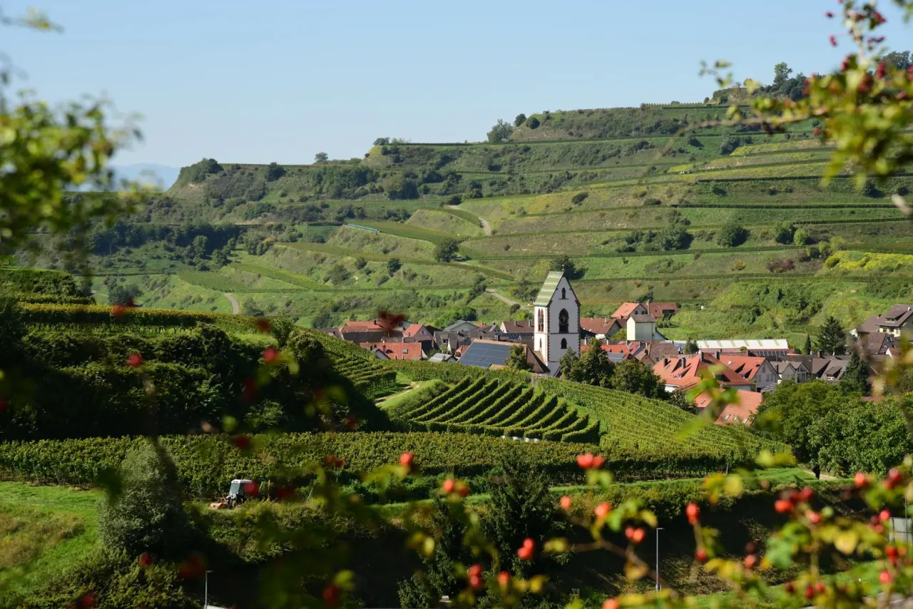 Wellnessregion Mosel