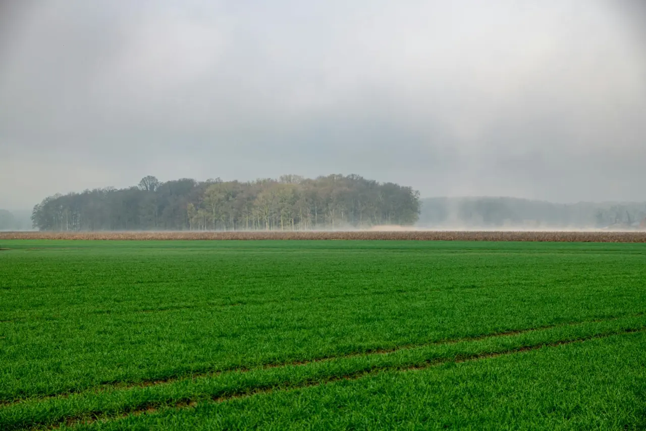 Wellnessregion Ostfriesland