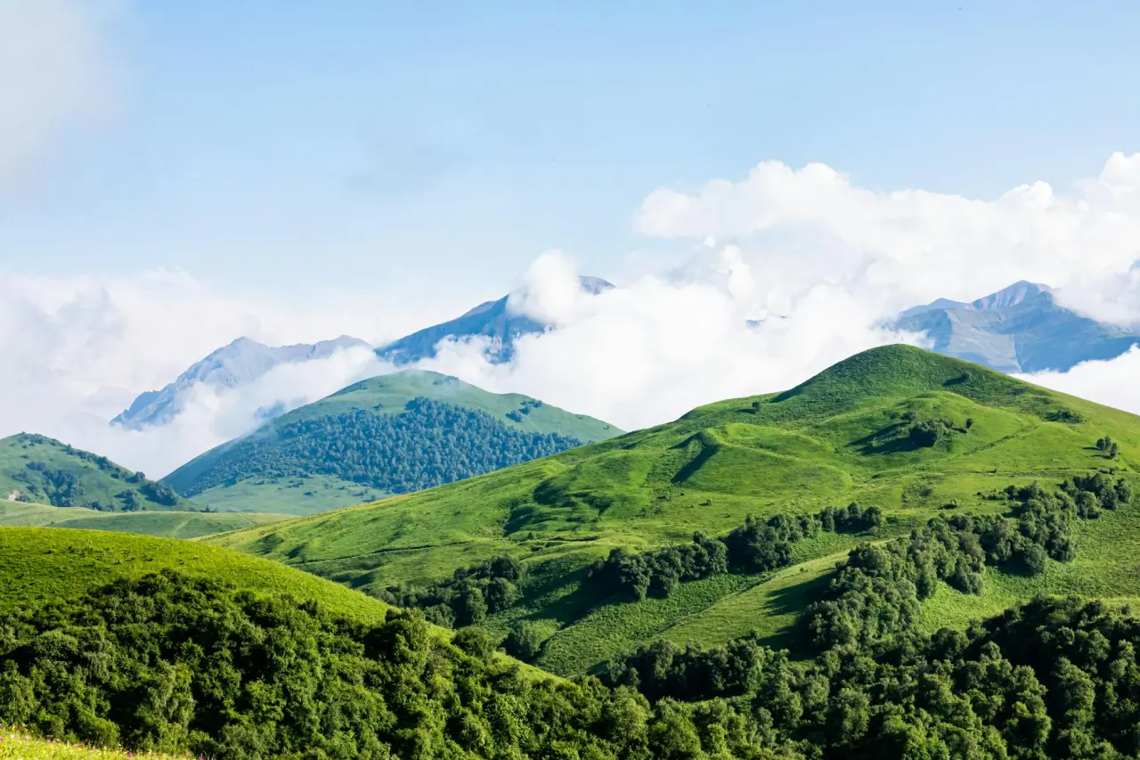 Wellnessregion Thüringer Wald