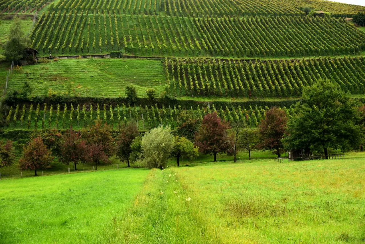 Wellnessregion Zentralschweiz