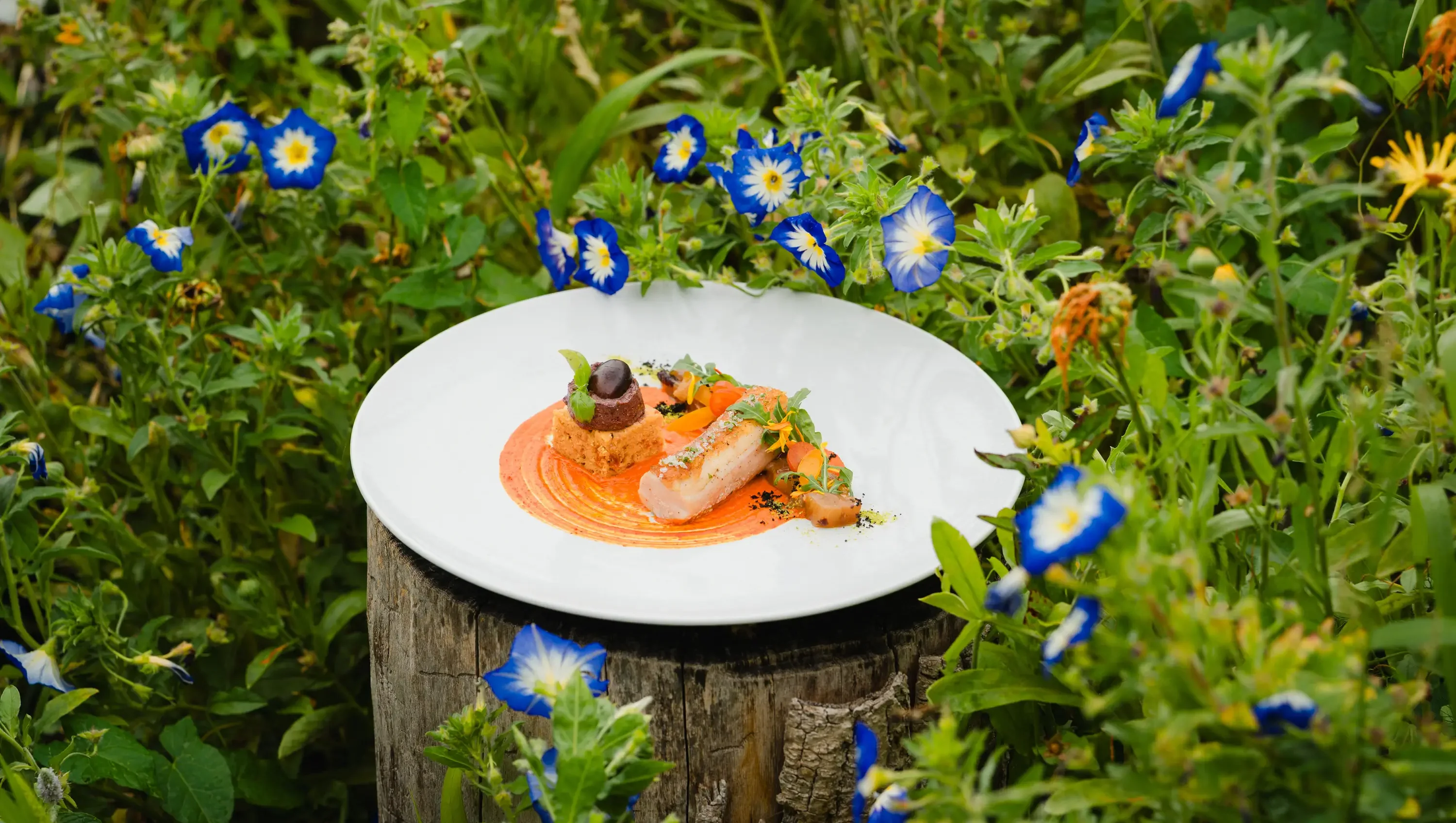 Wellness Natur Resort Gut Edermann in Teisendorf – Kreativ angerichtetes Gericht im Hotelgarten | Wellnesshotel Berchtesgadener Land