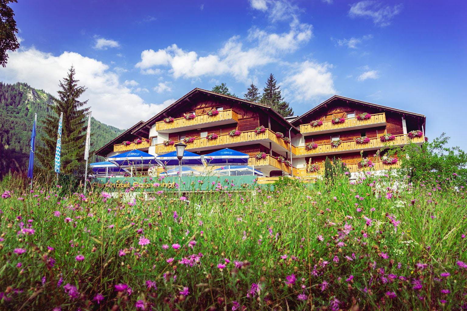 Parkhotel Sonnenhof in Oberammergau – Hotelgebäude im Sommer mit blühenden Wiesen und Bergen | Wellnesshotel Ammergauer Alpen