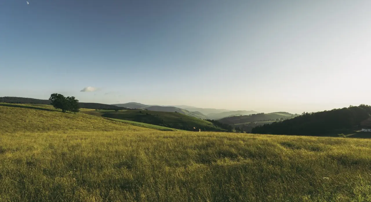 Weite hügelige Landschaft mit grünen Wiesen und Wäldern unter blauem Himmel, Umgebung des Waldhotel am Notschreipass.