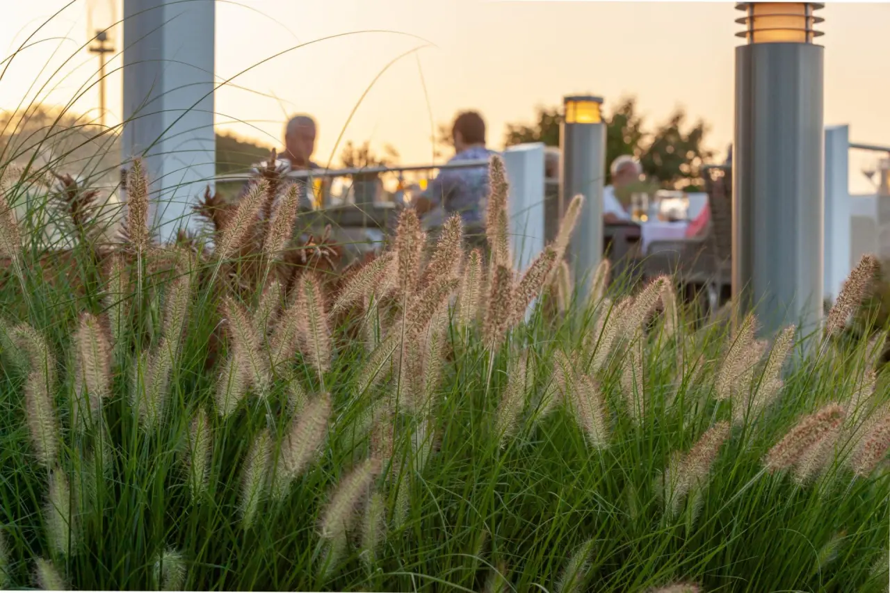 Abendliche Szene im Gartenbereich des Hotel Bernstein mit Gräsern im Vordergrund und unscharfen Gästen auf der Terrasse.
