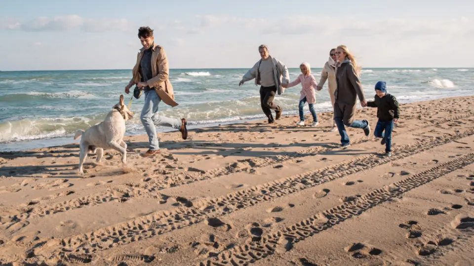 Familie mit Hund beim fröhlichen Spaziergang am Strand des Ostseehotel Midgard in Dampland