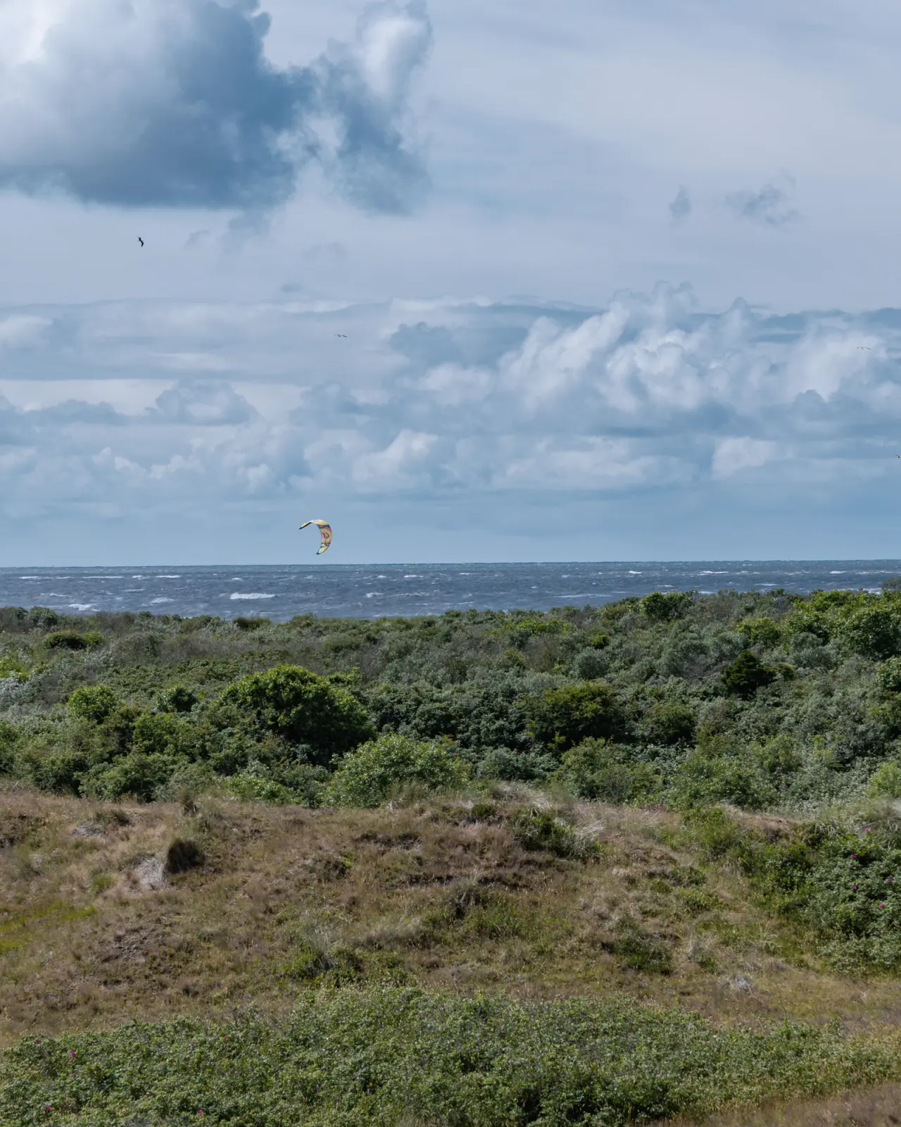 Dünnenlandschaft und stürmische Nordsee mit Kitesurfer bei Logierhus Langeoog.