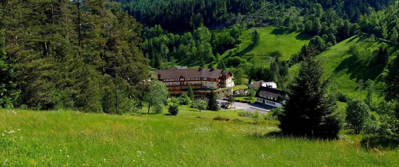 Wellness Hotel Tanne Tonbach im Schwarzwald, umgeben von grünen Wiesen und dichten Wäldern. Idyllische Naturkulisse.