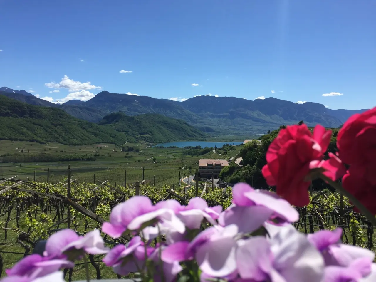 Zukallhof nature retreat/Urlaub auf dem Bauernhof — weiteres Bild