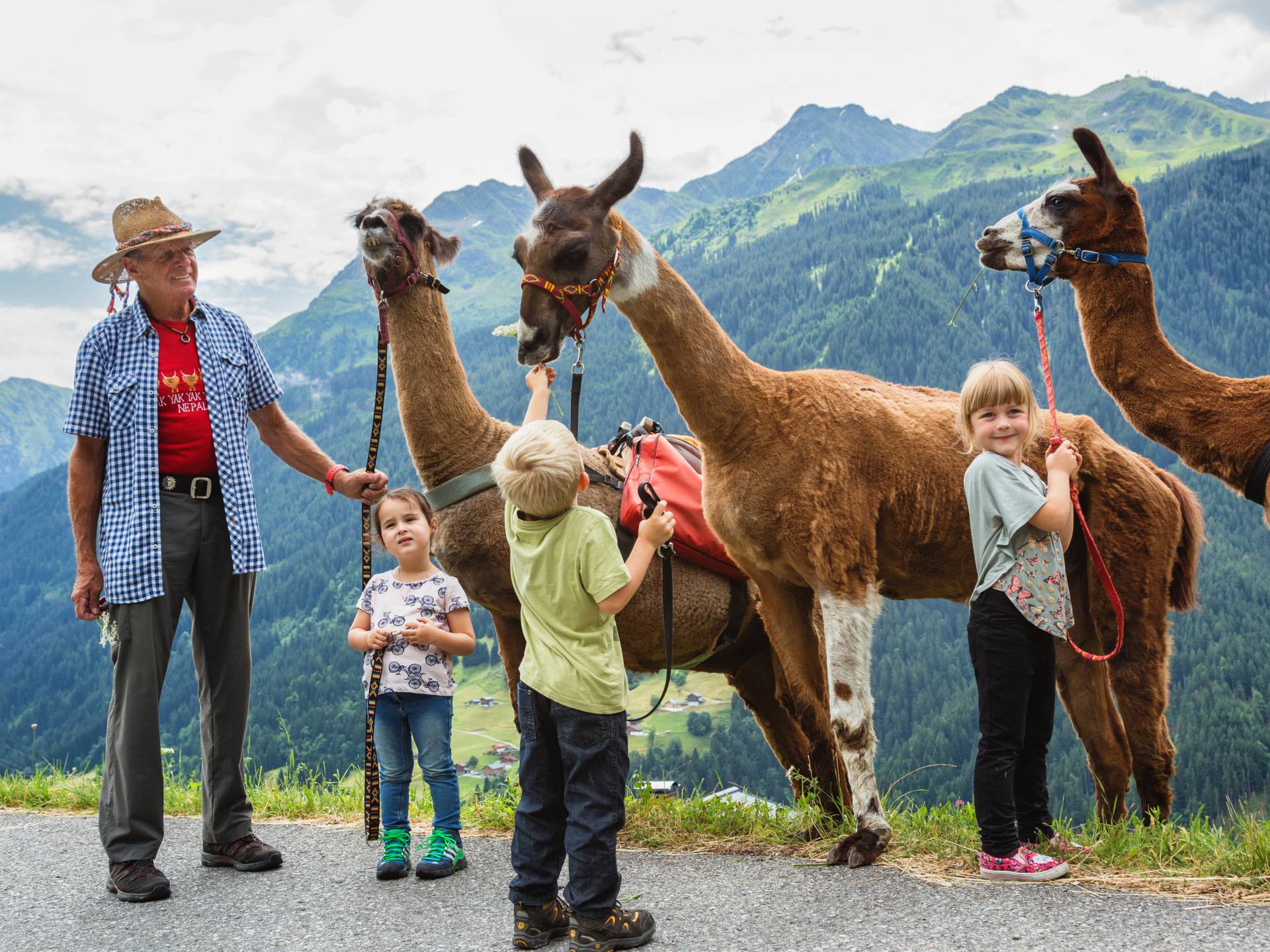 BergSPA & Hotel Zamangspitze in St. Gallenkirch – Familie mit Lamas bei einer Wanderung im Montafon | Wellnesshotel Montafon