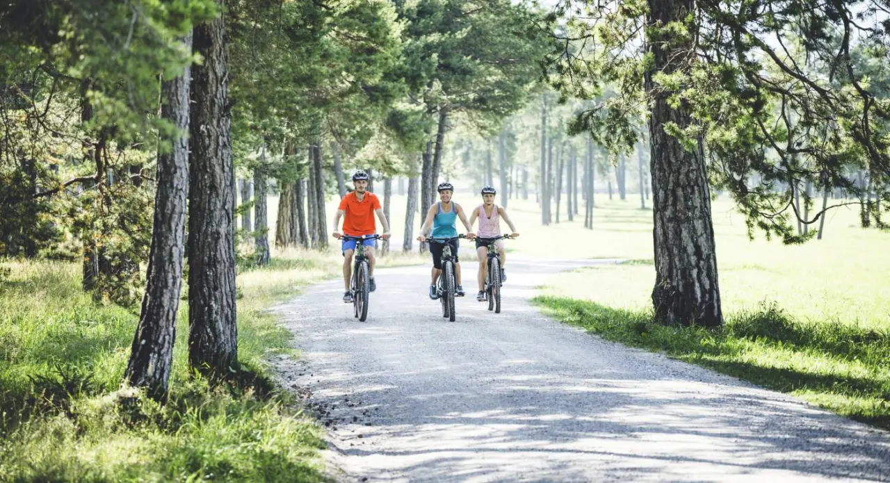 Gäste beim Radfahren auf einem sonnigen Waldweg in der Natur rund um das Alpenresort Schwarz.