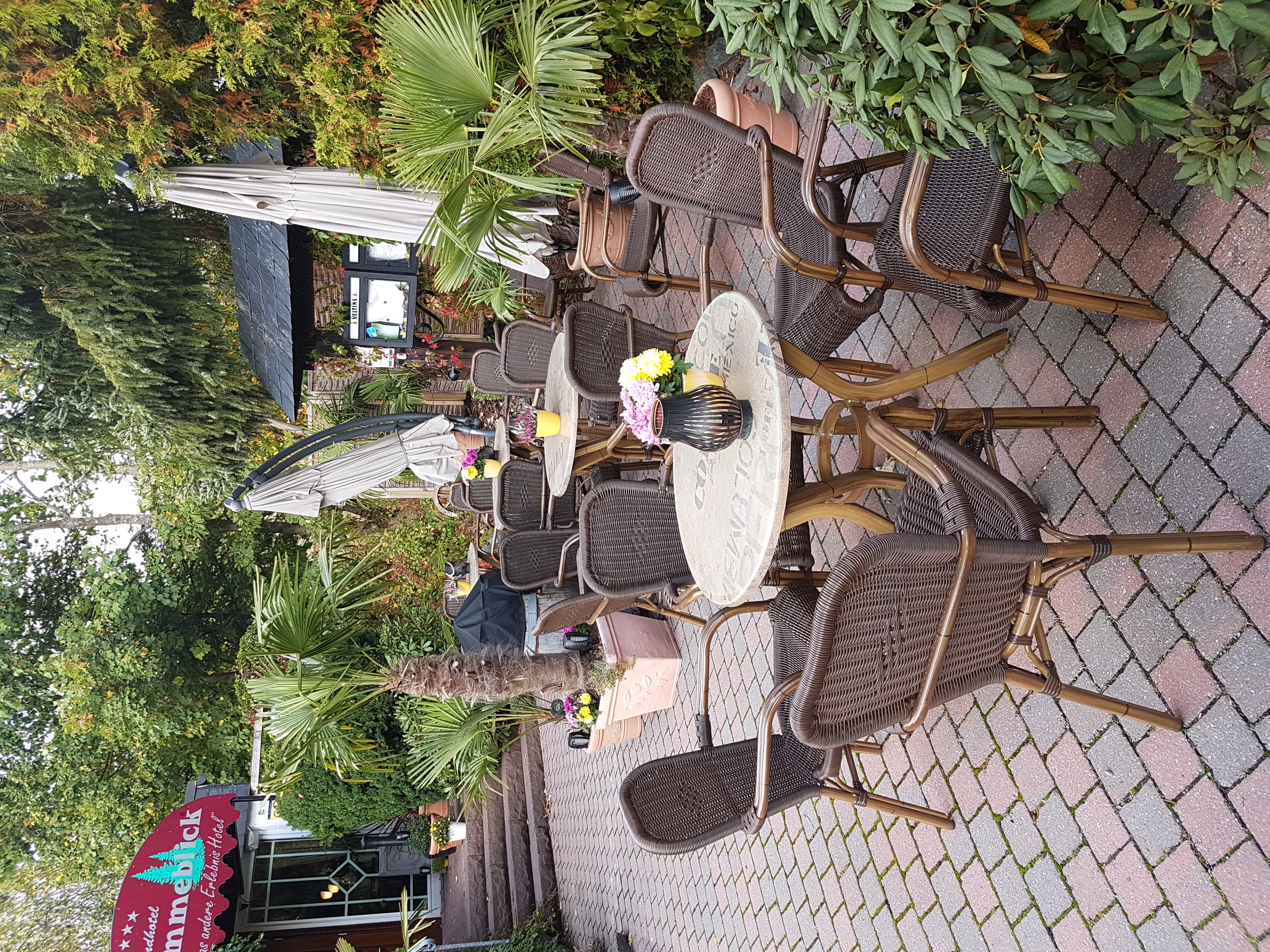 Landhotel Grimmeblick in Winterberg – Gemütliche Terrasse mit Korbmöbeln und Pflanzen im Außenbereich | Wellnesshotel Sauerland