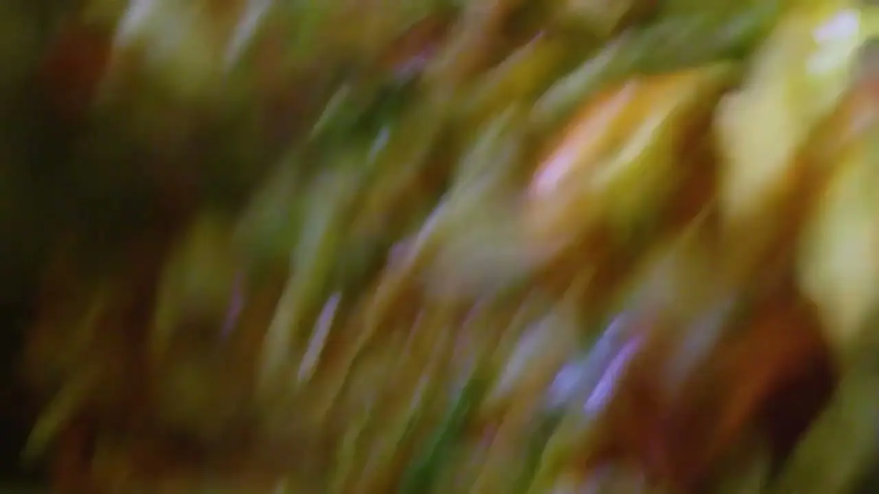 Abstraktes, unscharfes Bild ohne erkennbaren Inhalt vom Hotel Guglwald.