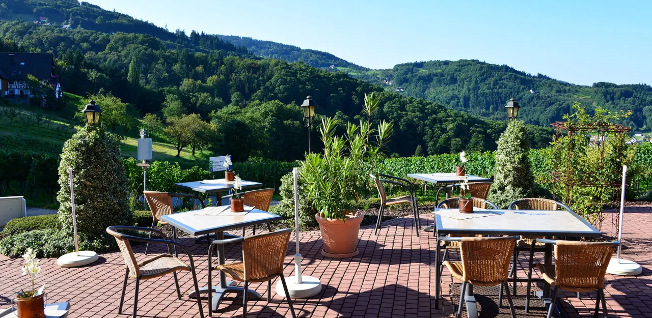 Sonnige Gartenterrasse des Relaxhotel Tannenhof mit Rattanmöbeln und Panoramablick auf grüne Weinberge und Hügel.