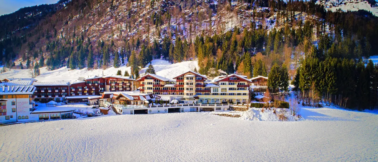 Winteransicht des Hotel Alpina mit verschneiten Dächern, umgeben von Wald und Bergen in den Alpen.