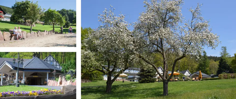 Frühlingshafter Hotelgarten des Hotel Haus Hilmeke mit blühenden Bäumen, Bouleplatz und Hoteleingang unter blauem Himmel.